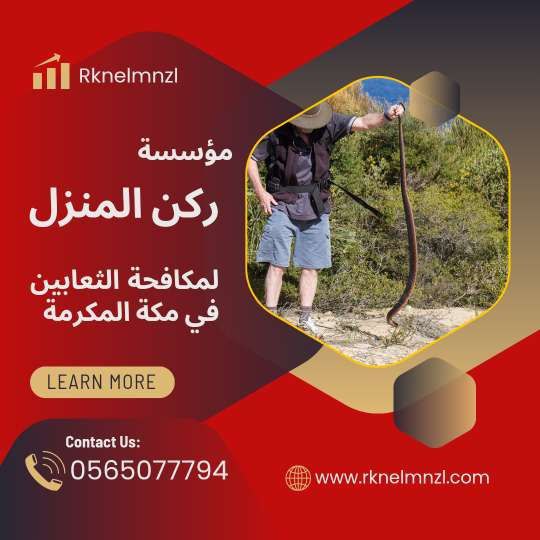 شركة ابادة الثعابين بمكة
